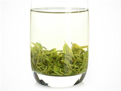 简说河南信阳毛尖茶