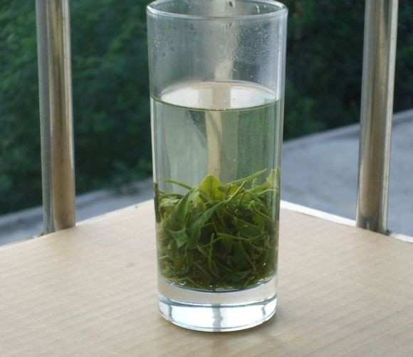 铁观音是绿茶吗