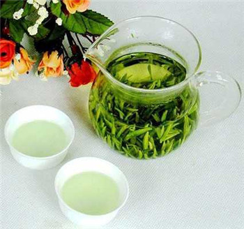 铁观音属于绿茶