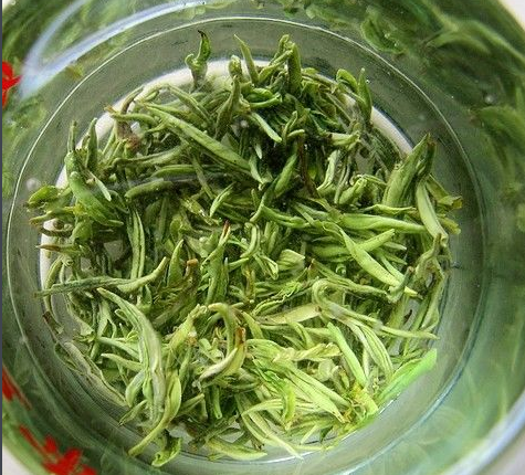 铁观音是绿茶吗?